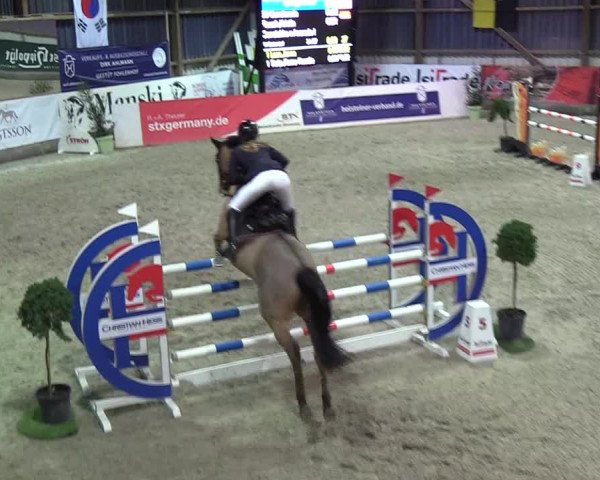 Nordic Jumping events 2019