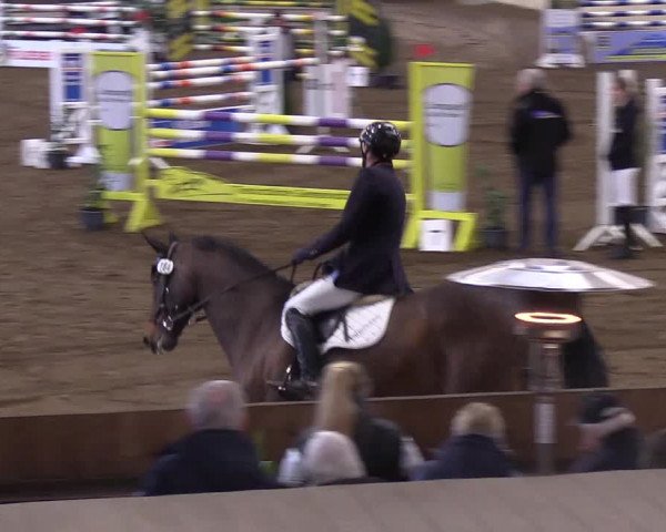 Reitturnier Süderlügum 2019