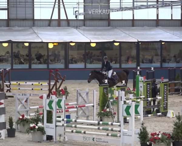 Reitturnier Oberriet 2019