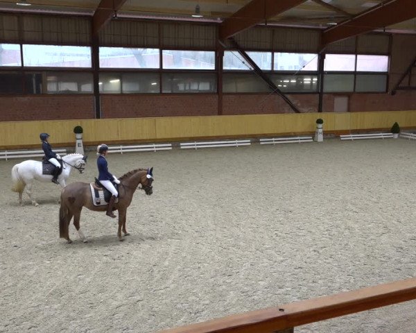 Reitturnier Hamburg-Friedrichshulde/Sylva Kuhrt 2021