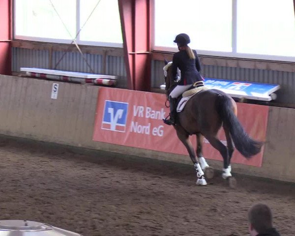 Reitturnier Süderlügum 2019