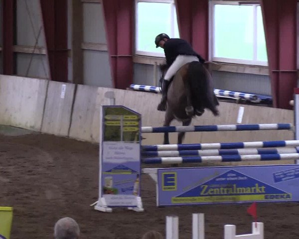 Reitturnier Süderlügum 2019