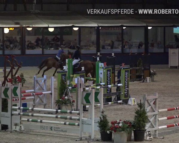 Reitturnier Oberriet 2019