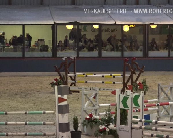 Reitturnier Oberriet 2019