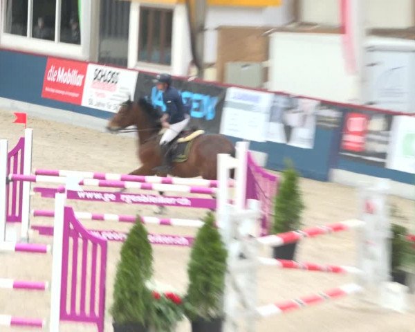 Reitturnier Oberriet 2019