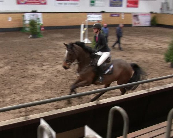 Reitturnier Heide 2019