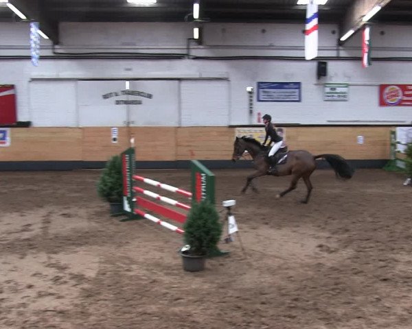 Reitturnier Heide 2019