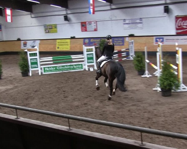 Reitturnier Heide 2019