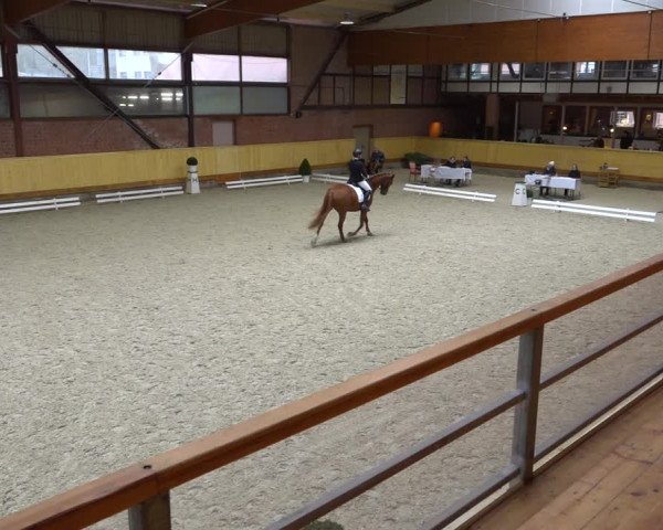 Reitturnier Hamburg-Friedrichshulde/Sylva Kuhrt 2021