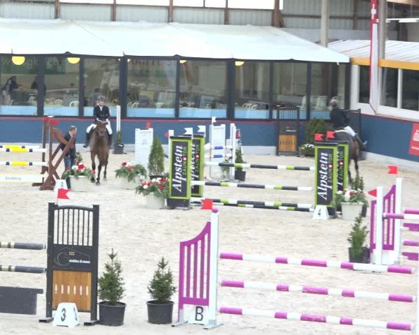 Reitturnier Oberriet 2019