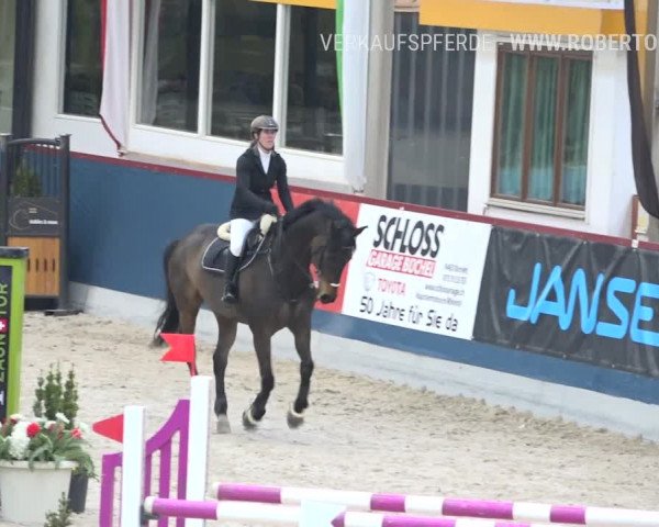 Reitturnier Oberriet 2019