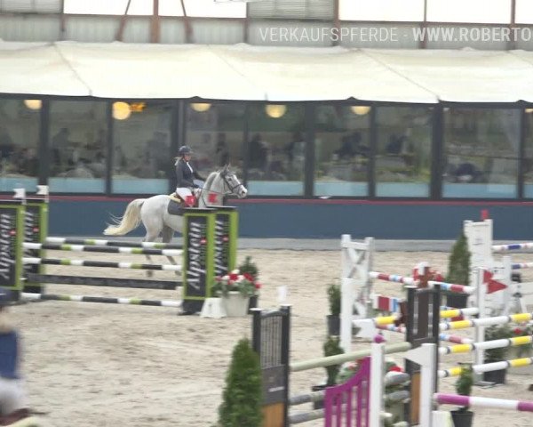 Reitturnier Oberriet 2019