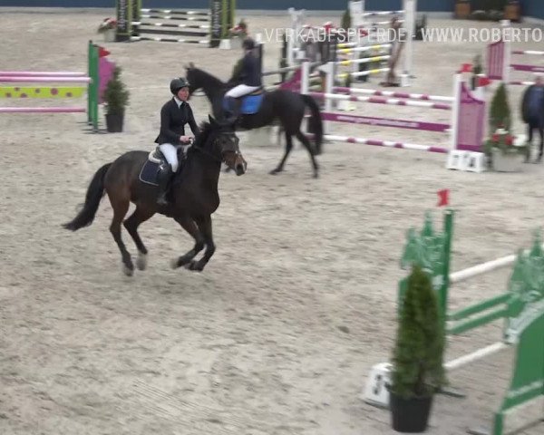 Reitturnier Oberriet 2019