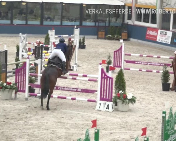 Reitturnier Oberriet 2019
