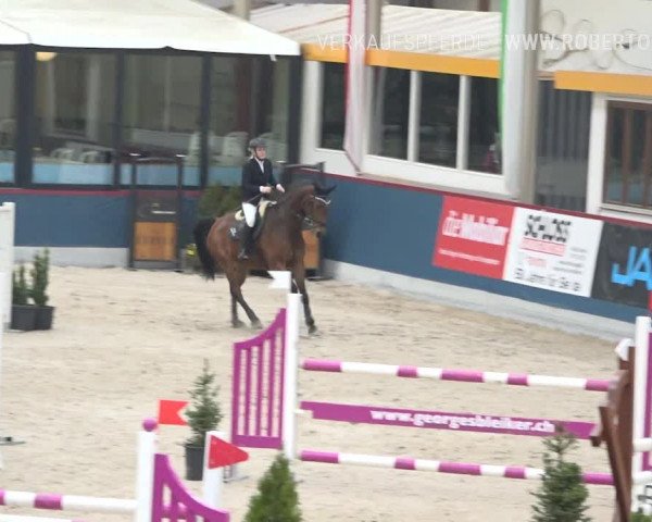 Reitturnier Oberriet 2019