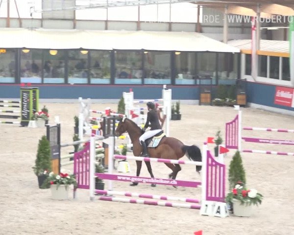 Reitturnier Oberriet 2019