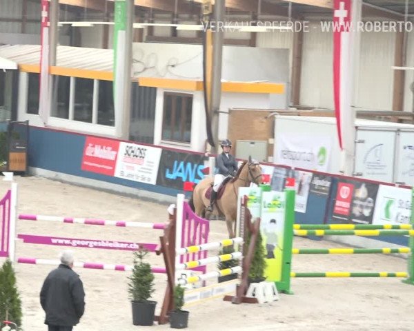 Reitturnier Oberriet 2019