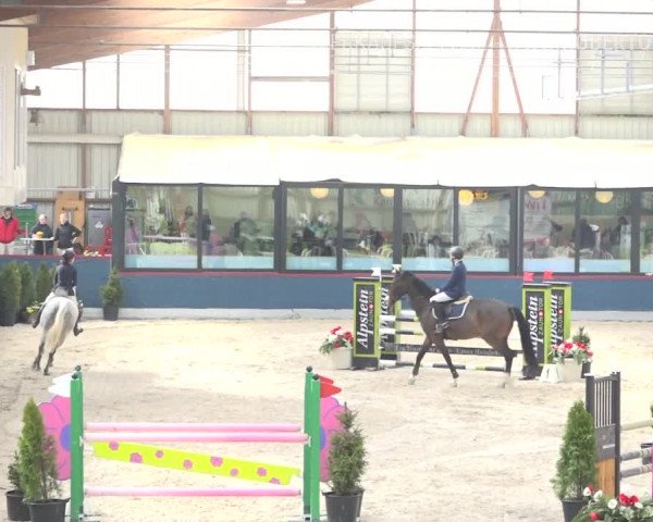Reitturnier Oberriet 2019