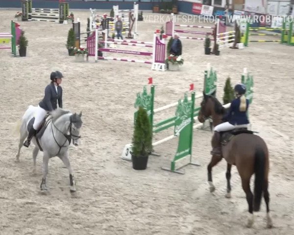 Reitturnier Oberriet 2019
