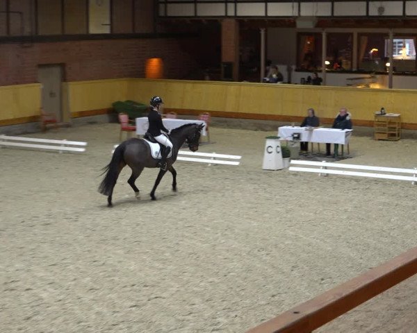 Reitturnier Hamburg-Friedrichshulde/Sylva Kuhrt 2021