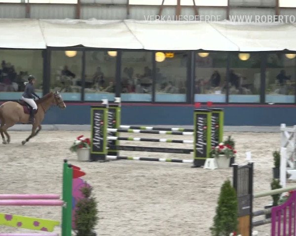 Reitturnier Oberriet 2019