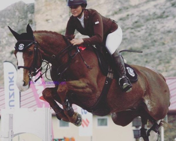 jumper Vivaldi D'Hyrencourt (Belgium Sporthorse, 2005, from Udancer Hero)