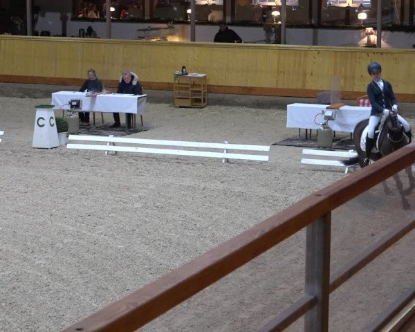 Reitturnier Hamburg-Friedrichshulde/Sylva Kuhrt 2021