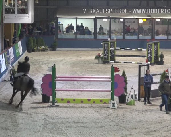 Reitturnier Oberriet 2019