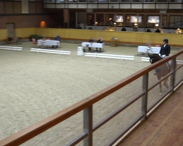 Reitturnier Hamburg-Friedrichshulde/Sylva Kuhrt 2021