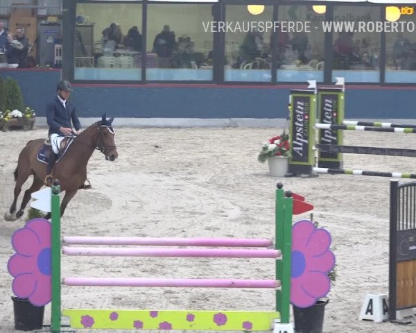 Reitturnier Oberriet 2019