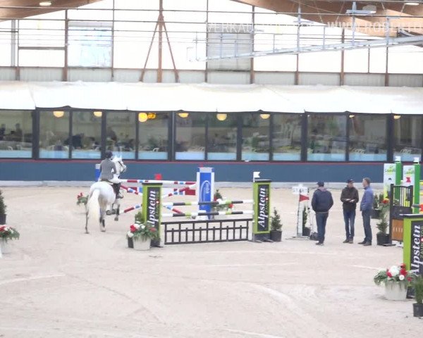 Reitturnier Oberriet 2019