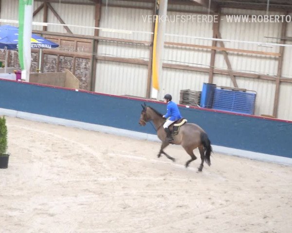 Reitturnier Oberriet 2019
