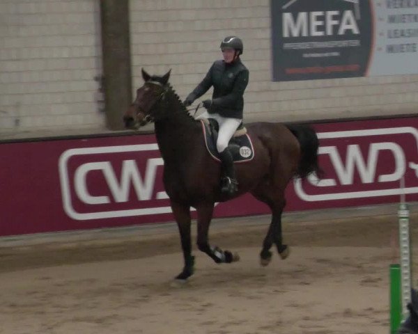Reitturnier Heilbronn 2021