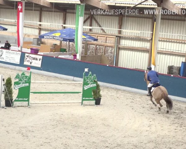 Reitturnier Oberriet 2019
