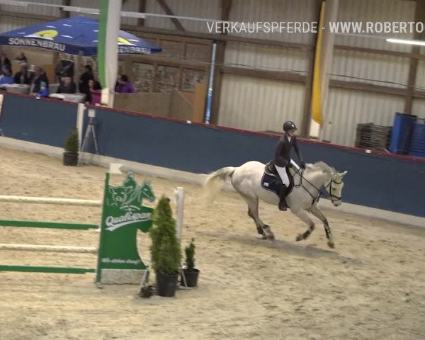 Reitturnier Oberriet 2019