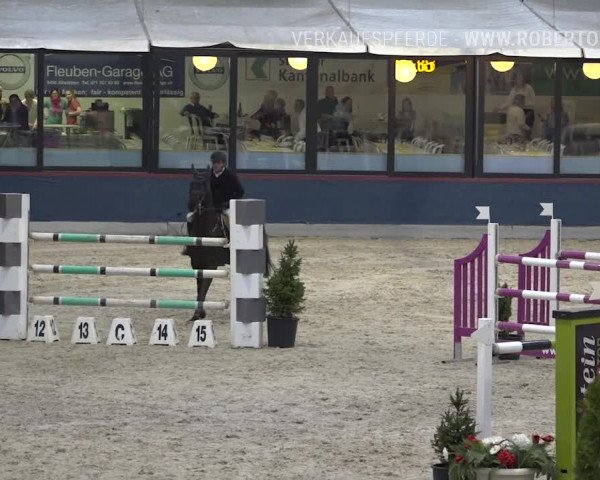 Reitturnier Oberriet 2019