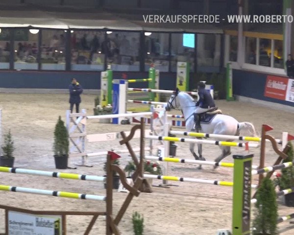 Reitturnier Oberriet 2019