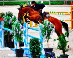 jumper Carthaga 3 (Holsteiner, 2008, from Catoki)