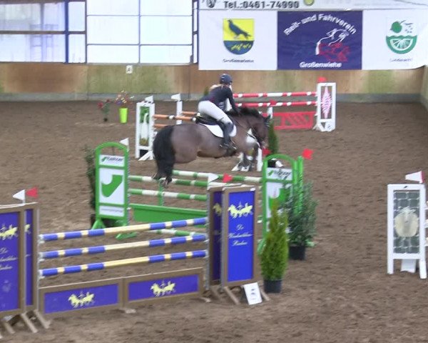 Reitturnier Großenwiehe 2019