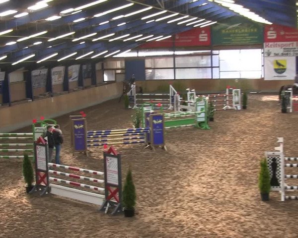 Reitturnier Großenwiehe 2019