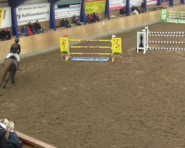 Reitturnier Großenwiehe 2019