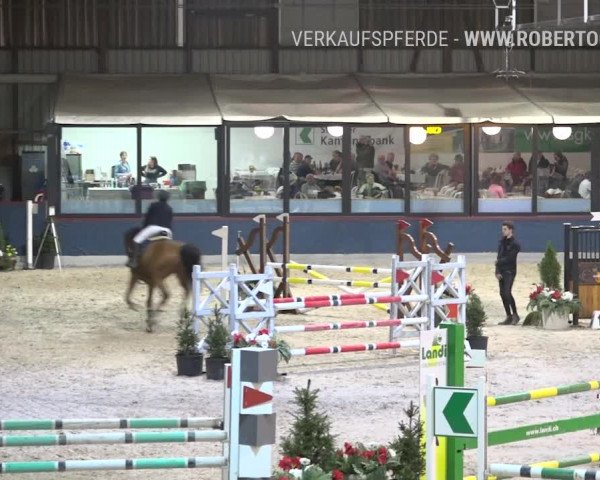 Reitturnier Oberriet 2019
