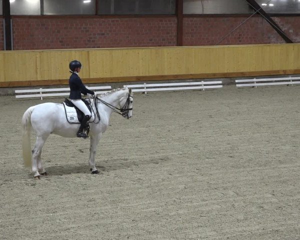 Reitturnier Hamburg-Friedrichshulde/Sylva Kuhrt 2021