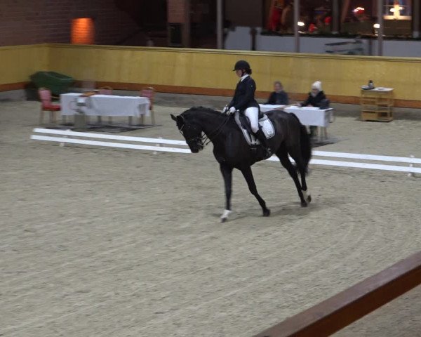 Reitturnier Hamburg-Friedrichshulde/Sylva Kuhrt 2021