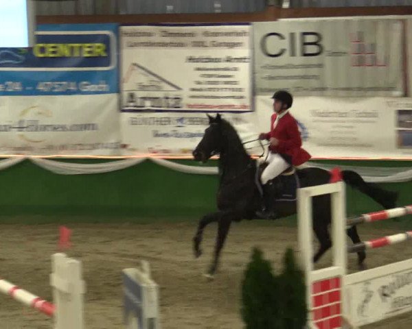 Reitturnier Keppeln - Reitanlage "Hötzenhof" 2019