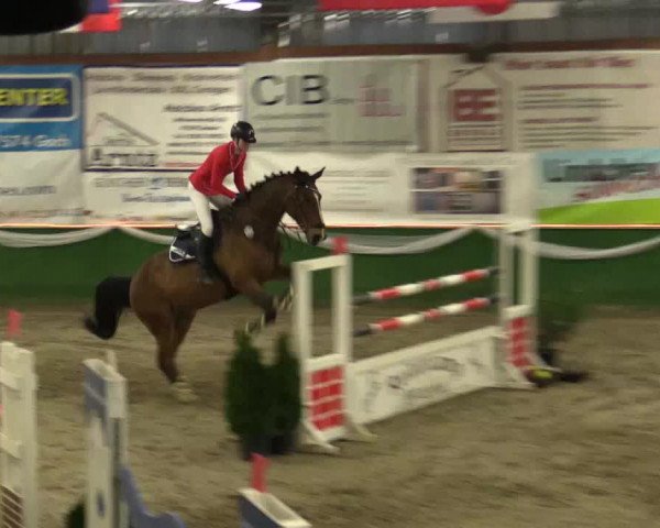 Reitturnier Keppeln - Reitanlage "Hötzenhof" 2019