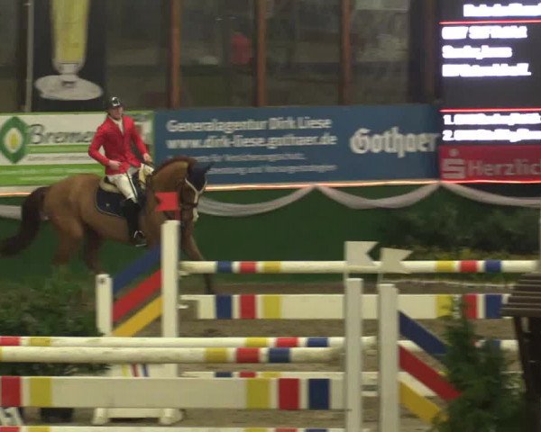 Reitturnier Keppeln - Reitanlage "Hötzenhof" 2019