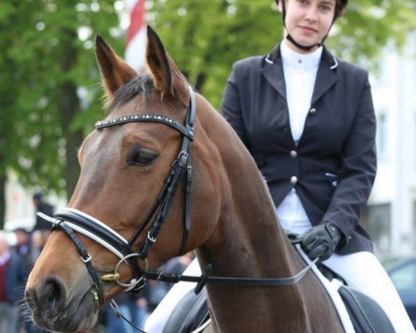 horse Funky Diamond 5 (Westphalian, 2003, from Fürst Piccolo)