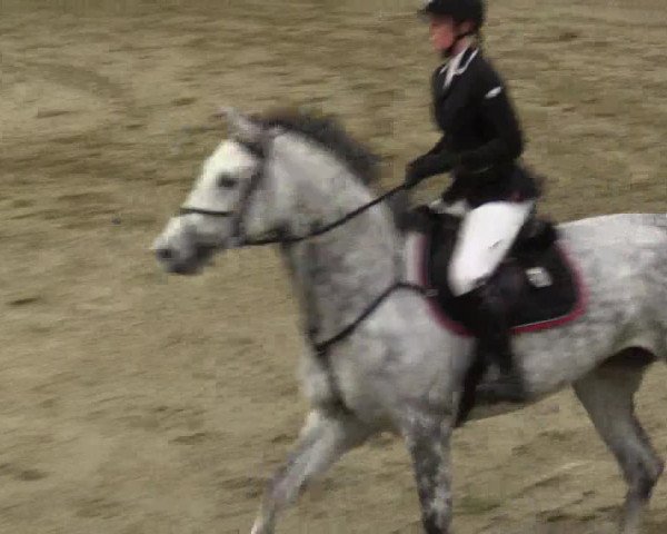 Reitturnier Keppeln - Reitanlage "Hötzenhof" 2019