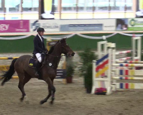 Reitturnier Keppeln - Reitanlage "Hötzenhof" 2019